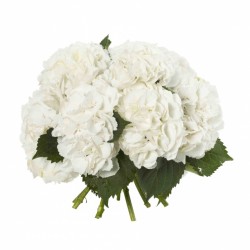 Hydrangea-Bouquet