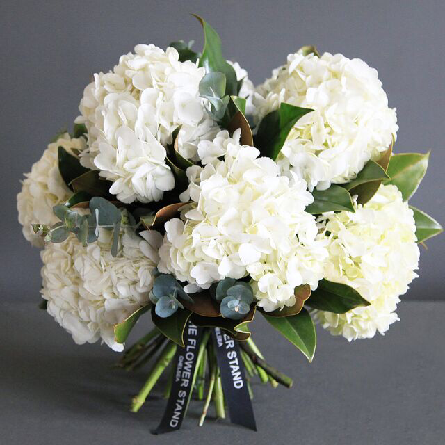 Image of Bouquet of white hydrangeas