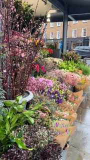 Spring is in the air! 

#theflowerstandchelsea #londonflowerdelivery #luxuryflowers #londonflorist #luxurybouquets