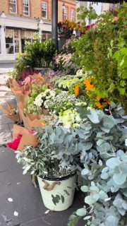 The forever blooming corner in the heart of London.

#theflowerstandchelsea #luxurybouquets #luxuryflowers #londonflorist #bloomingbeautifully