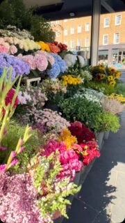 The blooming corner in Chelsea 🌸

#theflowerstandchelsea #londonluxuryflorist #londonflowerdelivery #chelseaflorist #luxuryflorist