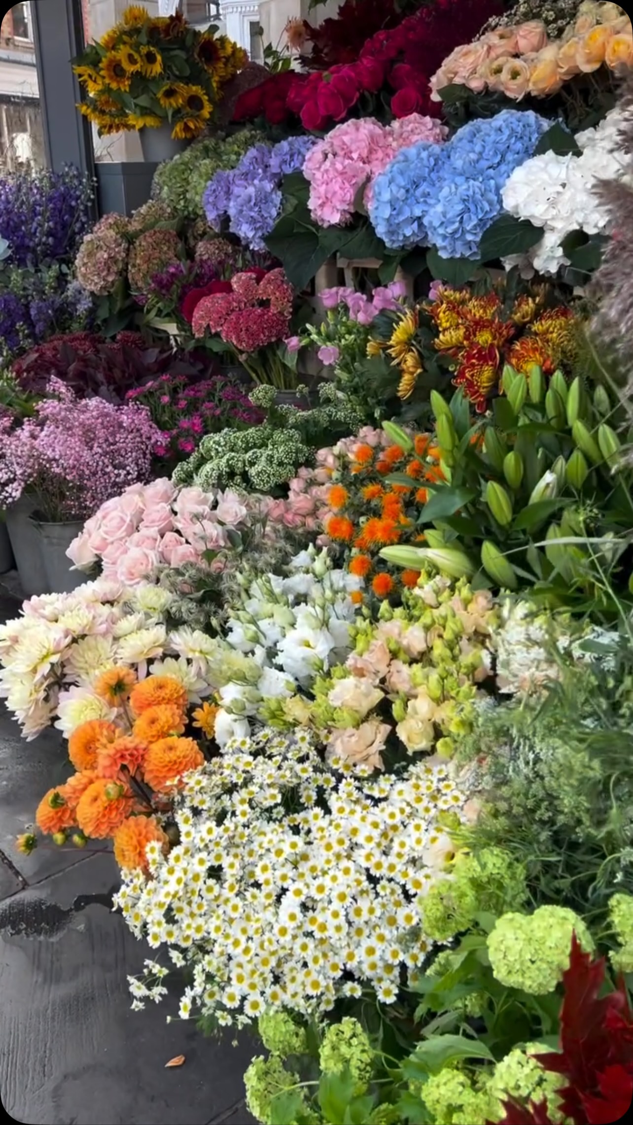 We are dancing on the blooming corner in Chelsea 🌸

#theflowerstandchelsea #londonflowerdelivery #flowerpower #flowersforlove #flowersforever