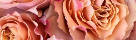 luxury-roses-same-day-delivery-roses-london