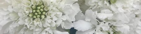 sympathy tributes and funeral flowers, same day delivery London